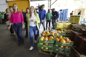 Celina Leão: Ceasa-DF passará por reformas e terá projeto de marketplace