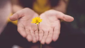 A esperança e a perspectiva: duas forças que impulsionam uma sociedade mais justa e altruísta