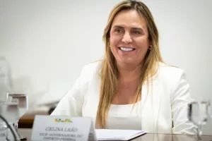 Celina Leão Participa de Reunião para Definir Critérios do Piso Nacional de Enfermagem