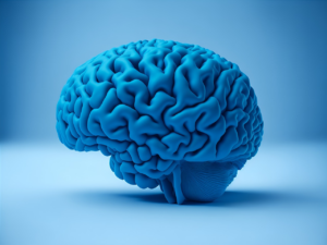 Stop e Play: Entenda a descoberta neurocientífica que mostra sistema do cérebro que funciona de forma similar a um controle remoto
