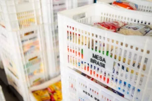 Festival de Inverno Sesc-DF arrecada 3,6 toneladas de alimentos