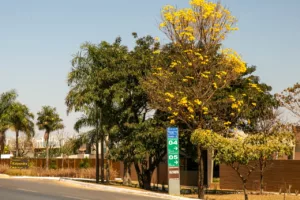 Lançado edital para regularização de 106 imóveis em Vicente Pires