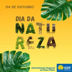 Dia da natureza: Regional 1 sugere dicas para preservação ambiental