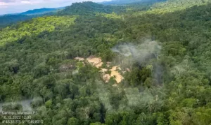 Operação conjunta em terras indígenas do Pará para remover não indígenas