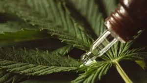 Cannabis medicinal: tratamento já é utilizado por 430 mil pessoas no Brasil