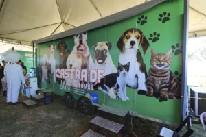 Castra DF anuncia abertura de cadastro para castração de pets na Estrutural