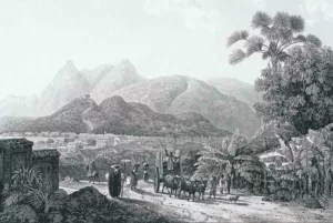 Verde de Goiás: Retratos da exuberância vegetal e da história do estado