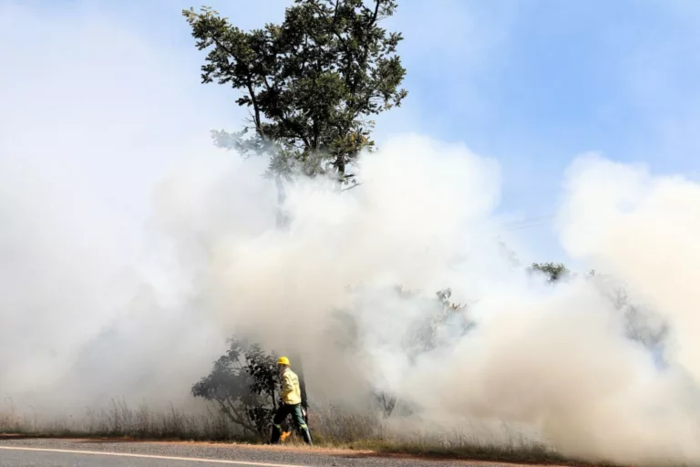 DF em alerta: Emergência ambiental contra incêndios