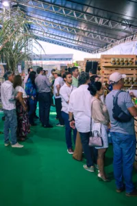 Festival da Cachaça de Brasília reuniu mais de 17 mil pessoas