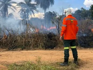 Curso em Taguatinga: Preparação intensiva contra incêndios florestais