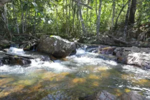 Sema-DF aprova relatórios cruciais para gestão das águas