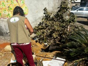 Caminhada contra à dengue na Vila Planalto