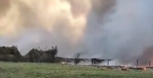 Incêndios em SP: Prejuízos podem ultrapassar R$ 1 bilhão, diz Tarcísio