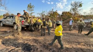 Anta resgatada de incêndio no Parque Nacional recebe tratamento no Zoológico
