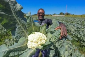 Ibaneis Rocha fortalece agricultura familiar e segurança alimentar no DF