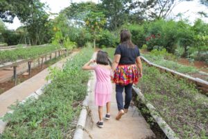 Horta comunitária une aprendizado e terapia no CEE 2