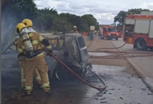 Vídeo: Carro em zigue-zague atropela pedestre, bate em árvore e pega fogo