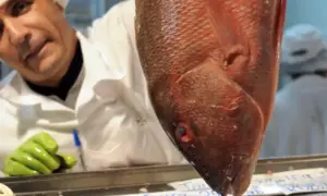 Fecomércio-DF aponta boom no consumo de peixes em 2025