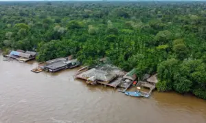 Amazônia pede socorro às vésperas da COP30