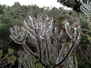 Defesa Civil de SC emite alerta laranja para chuva intensa e frio extremo