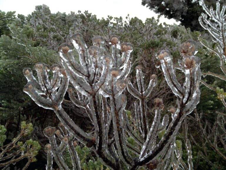 Defesa Civil de SC emite alerta laranja para chuva intensa e frio extremo