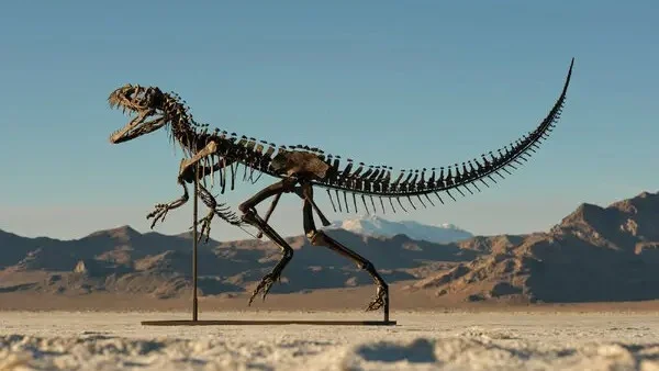 Dinossauro de R$ 33 milhões: leilão divide a paleontologia