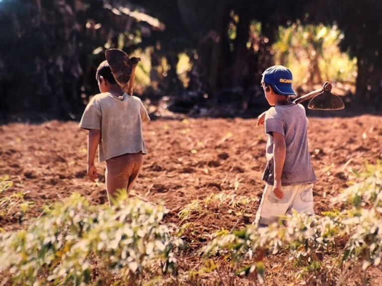Aprendizagem é arma contra o trabalho infantil