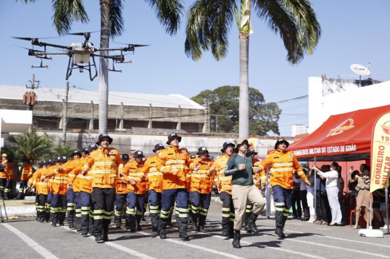 Governo de Goiás age com firmeza contra devastação do Cerrado