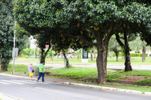 DF ganha índice inédito de sustentabilidade urbana