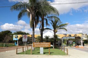 De volta! Zoo de Brasília reabre após medidas sanitárias