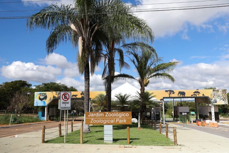 De volta! Zoo de Brasília reabre após medidas sanitárias