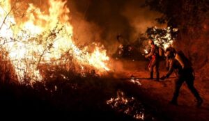 Queimada é crime: sua denúncia pode salvar vidas e milhões
