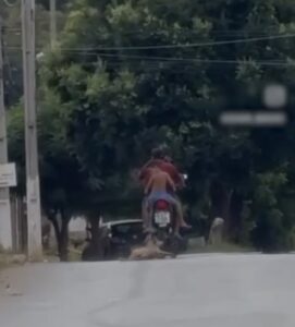 Vídeo: Policial arrasta cachorro e é preso em Ipu