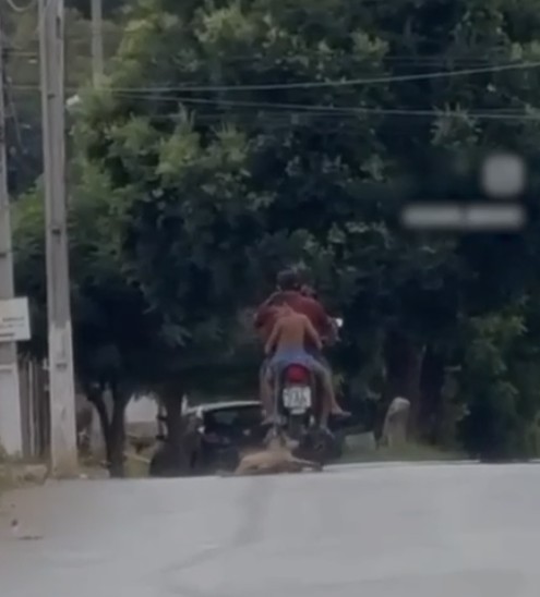 Vídeo: Policial arrasta cachorro e é preso em Ipu