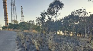 Morro da Serrinha é fechado para evitar queimadas