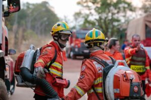 Bombeiros do DF controlam incêndio na Flona