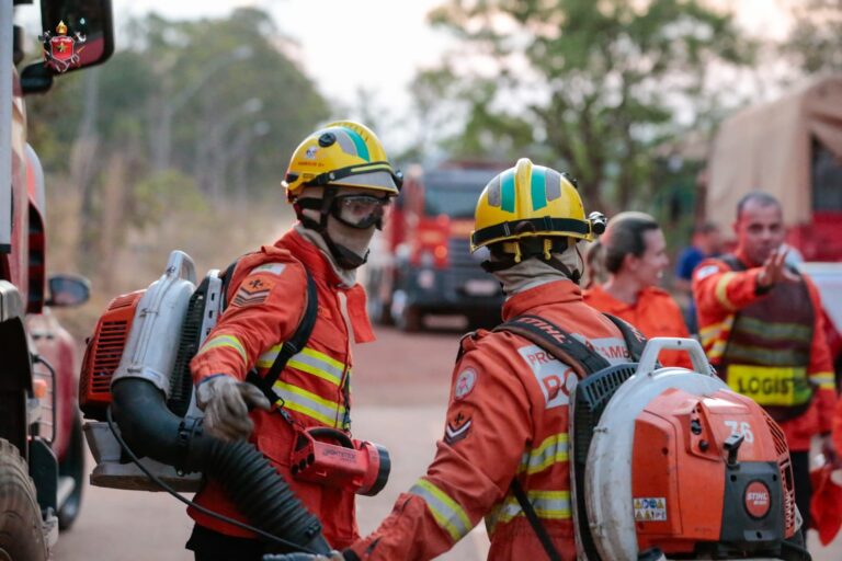 Bombeiros do DF controlam incêndio na Flona