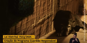 Guardiões responsáveis: lei reforça proteção animal no DF