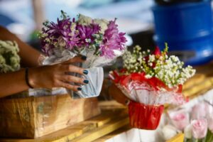 Comércio de flores do DF está otimista com as vendas para o Dia de Finados