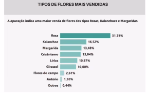Comércio de flores do DF está otimista com as vendas para o Dia de Finados