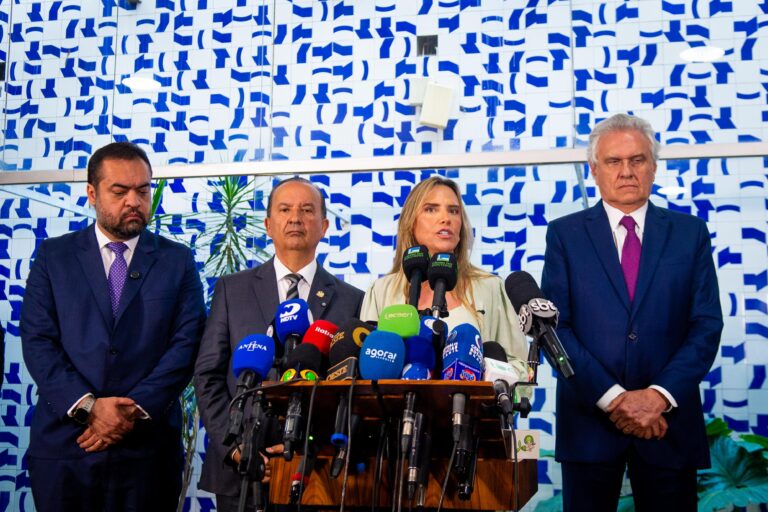 Celina Leão defende pacto nacional por Segurança Pública