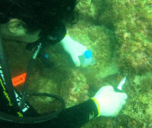 Caravana da CNI e do Sebrae mapeia desafios e oportunidades de inovação de cada região do Brasil