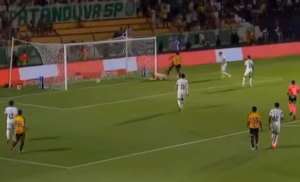 Novorizontino goleia o Palmeiras e impõe pior derrota da era Abel Ferreira