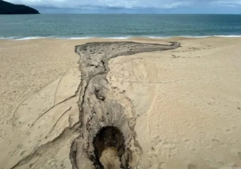 Somos todos iguais, ao menos no fedor das matérias orgânicas