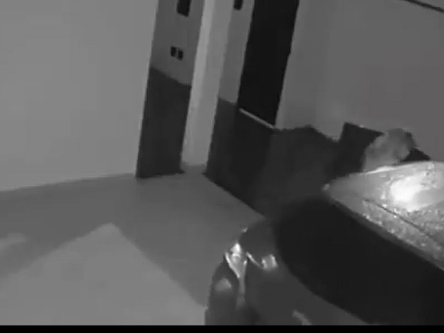 Vídeo: Carro se move sozinho e derruba portão em Uberlândia